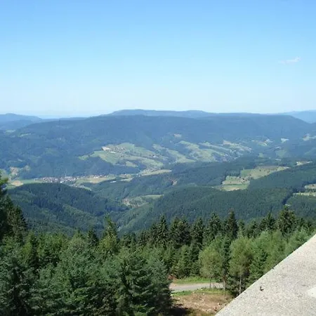 Rautsch *